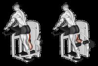Hamstring leg curls (Inspire USA Foundation)