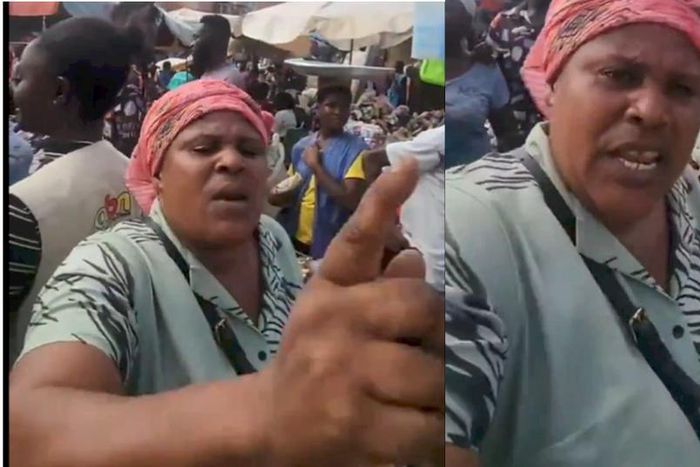 'Ghana would have thrived if NPP continued NDC's projects'- Woman sparks debate