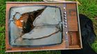 broken tv television