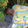 Patient abandoned in the bush dies