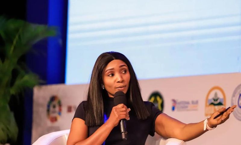 Harriet Nartey part of over 30 outstanding recipients of Africa Peace Advocate Awards