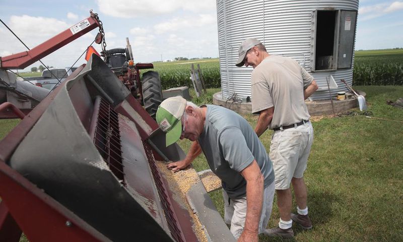 soybean farmer