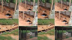SHS students remove uniforms, hang them outside to use smelly open toilet full to the brim