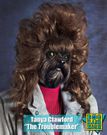 14 photos of Photoshopped dogs wearing outrageous '80s outfits that will make your day