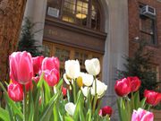 The 50 most expensive top private high schools in America