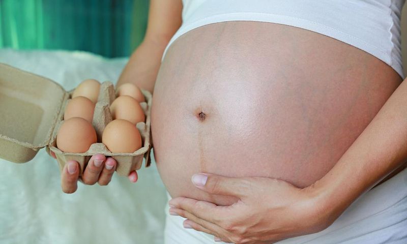 Do raw eggs cause abortions [dailymail]
