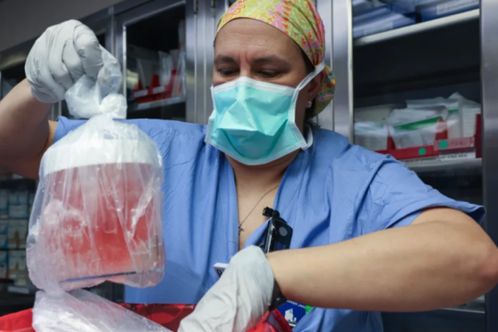 First-ever kidney transplant from pig to human successful