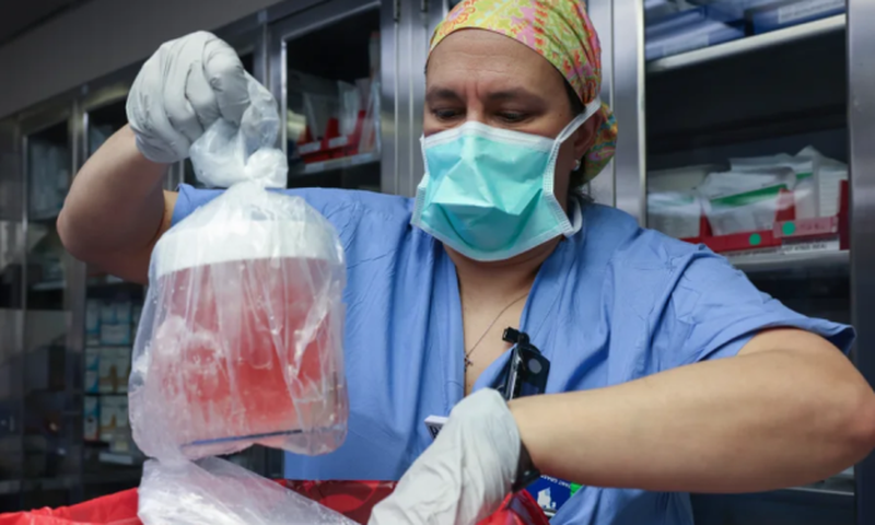 First-ever kidney transplant from pig to human successful