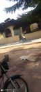 maame-krobo