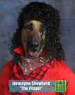 14 photos of Photoshopped dogs wearing outrageous '80s outfits that will make your day