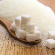 Sugar