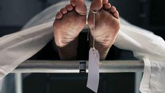 ___9070797___2018___11___5___10___Morgue