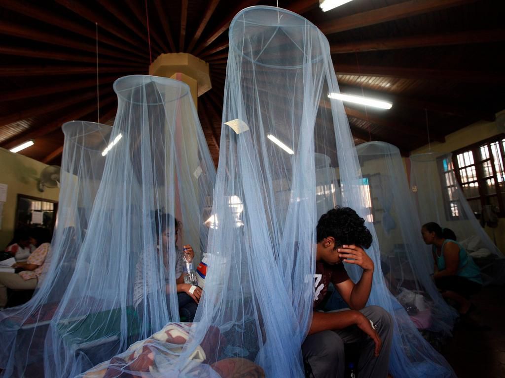 Patients suffering from dengue fever rest on a bed covered by a mosquito net at the Alonso Suazo hospital in Tegucigalpa, Honduras.