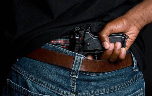 Gun
