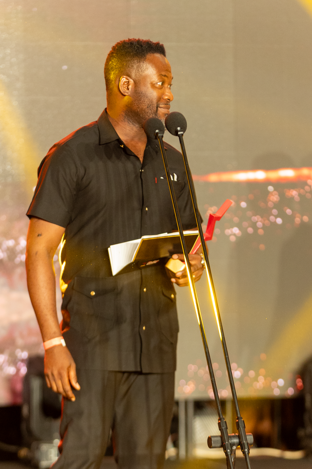 Pulse Influencer awards