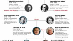 Bush Walker lineage timeline 2018