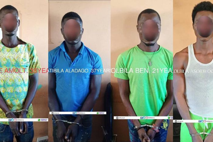 Police arrest 4 suspects in connection with stripping and molesting of woman
