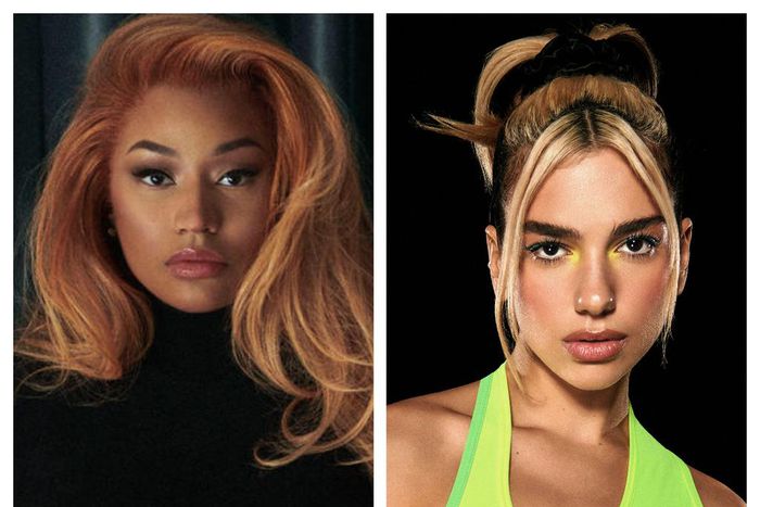 Nicki Minaj fan flies from LA to Arizona to confront Dua Lipa fan