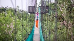 Legon Botanical Gardens canopy walkway