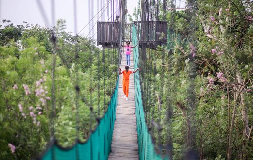 Legon Botanical Gardens canopy walkway