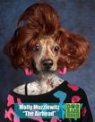 14 photos of Photoshopped dogs wearing outrageous '80s outfits that will make your day