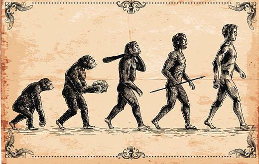 Homo Sapiens originated in Africa over 300,000 years ago, according to a new study