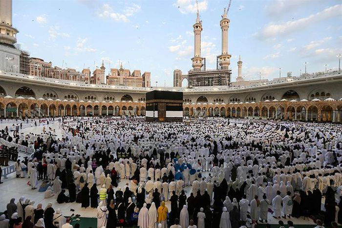 Egypt revokes licenses of tourism firms after hajj pilgrimage deaths