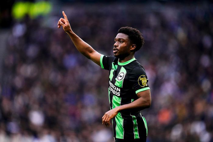 Ghana’s Tariq Lamptey marks 100th appearance for Brighton