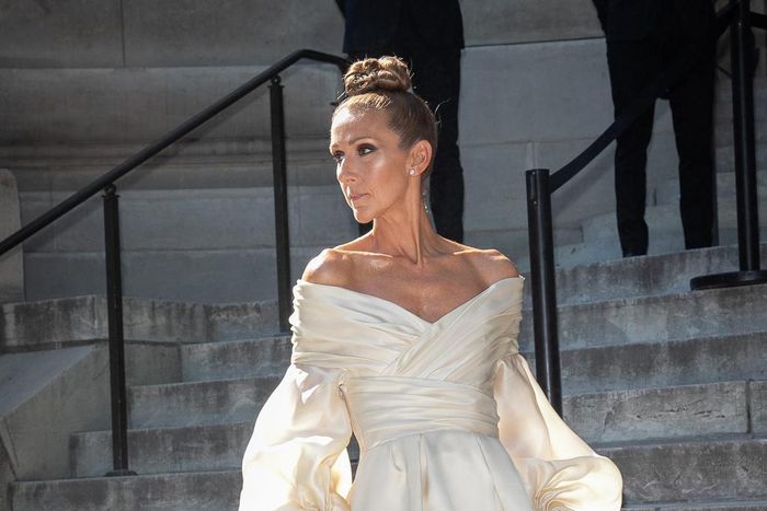 Celine Dion arriving at the Alexandre Vauthier show during Paris Couture Week in Paris, France, on July 2, 2019.Marc Piasecki/Getty Images