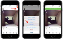 There's an easy trick for downloading photos from Instagram — here's how to do it (FB)