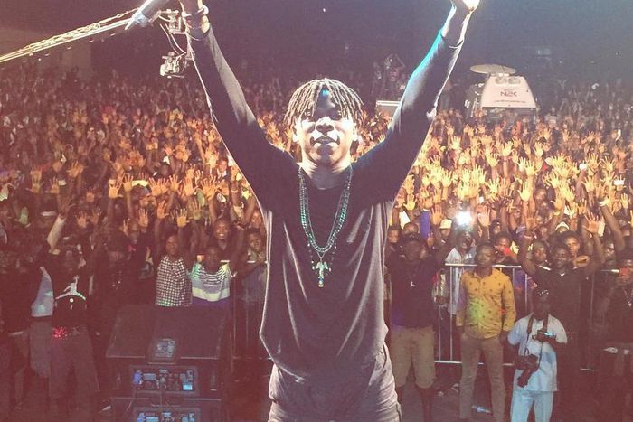 ___4618484___https:______static.pulse.com.gh___webservice___escenic___binary___4618484___2016___1___28___15___Stonebwoy_Mandela_Park_Concert__2