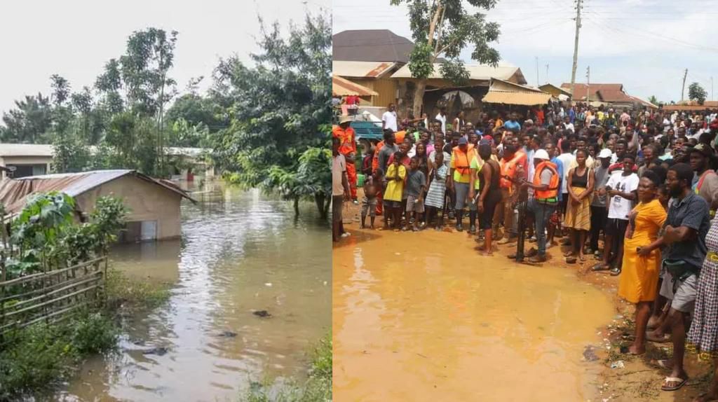 Relocate Akosombo Dam-induced flood victims to Saglemi houses – AFCSOs tells Akufo-Addo