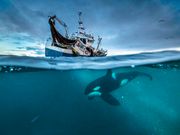 The 6 movies and TV shows coming to Netflix this week that are worth watching, including 'Dumplin'