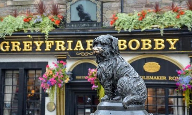 Statue of Greyfriars Bobby, the faithful dog [Asvolas/Shutterstock]