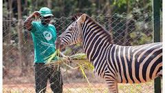 Accra zoo