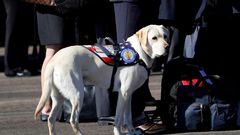 The most powerful images from the nation's remembrance of President George HW Bush