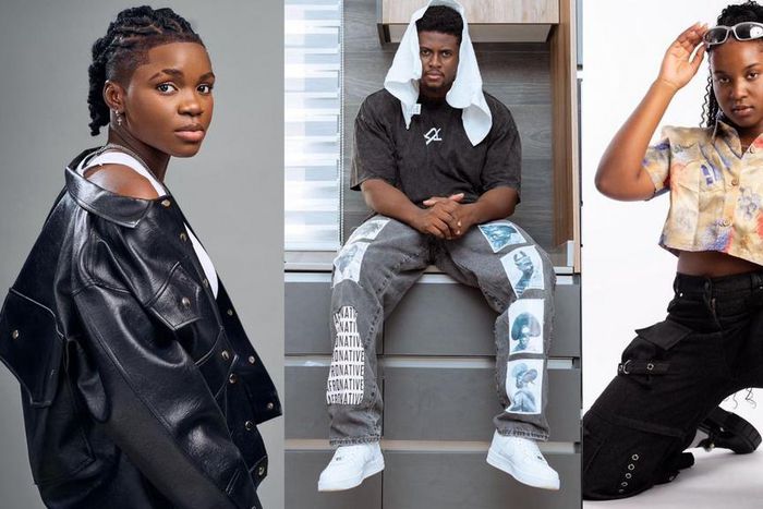 Afronita left DWP Academy because of Endurance - Quables (VIDEO)