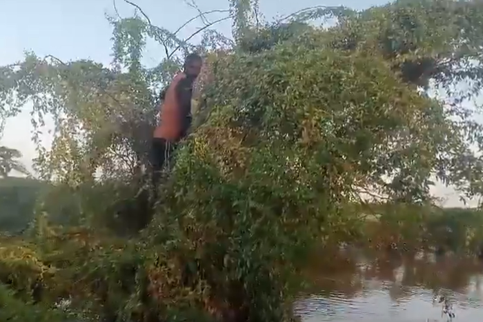 The man spent days on the tree [Kenya Red Cross]