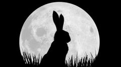 6 shows coming to Netflix in December that are worth watching