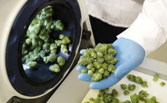 marijuana