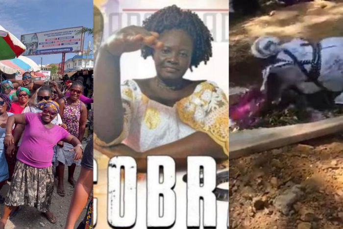 Viral Sensations of 2023