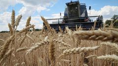 Grains from Ukraine