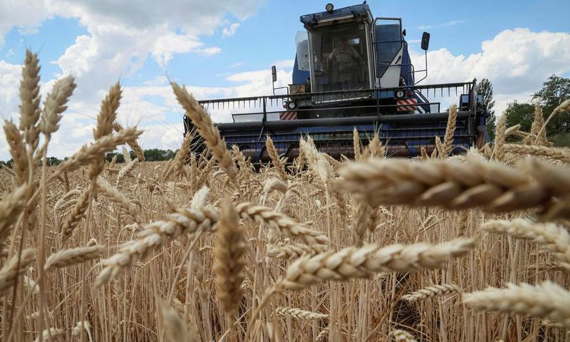 Grains from Ukraine