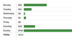 My husband and I are taking a 3-year 'mini-retirement' in our 30s. Here's what a week of spending looks like for our family of 7