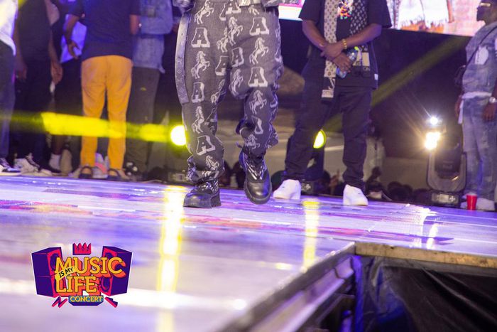 Tema Gets Groovin': Star-Studded Lineup Lights up Mimlife Concert 2024