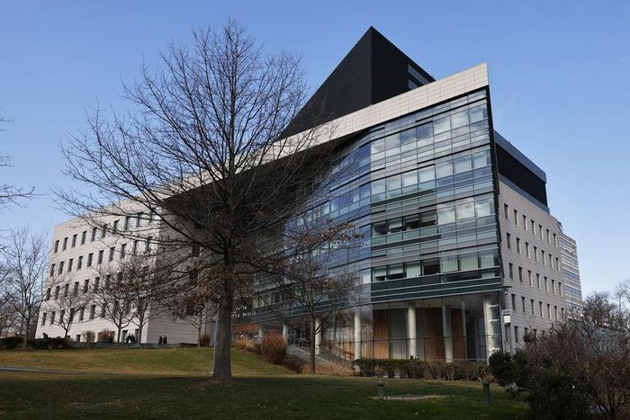 Albert Einstein College of Medicine