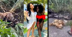 Decomposed body of missing Girls found without head and other body parts
