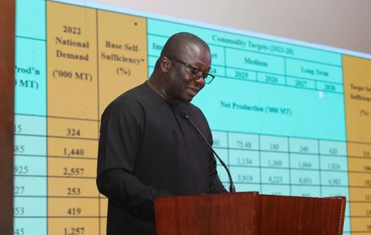 Bryan Acheampong, Minister for Agriculture