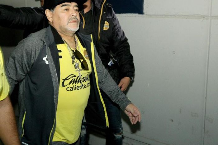 Diego Maradona raised eyebrows when he took over as manager of Mexico's struggling Dorados football club, who were then in 13th place in their 15-team league, but he took the team all the way to the division final, falling just short of a win