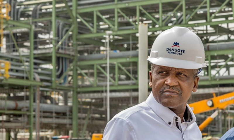 Aliko Dangote's refinery project has the capacity to produce 650,000 barrels per day. [Nairametrics]
